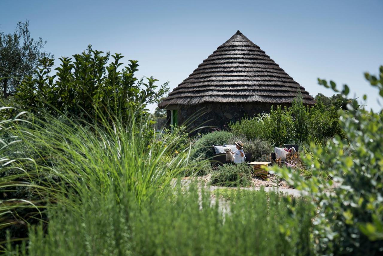 Is Cheas Wine Farm Boutique Hotel San Vero Milis المظهر الخارجي الصورة