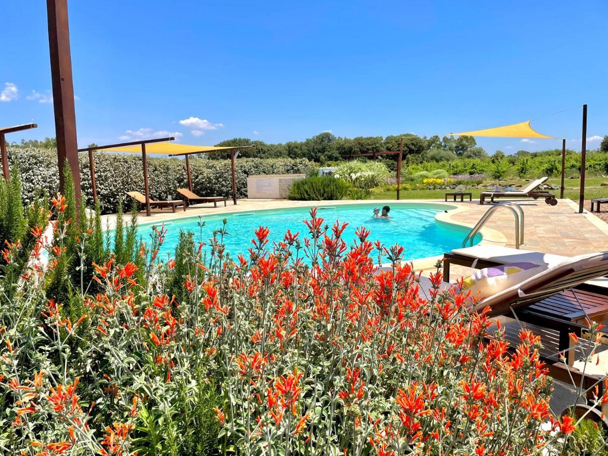 Is Cheas Wine Farm Boutique Hotel San Vero Milis المظهر الخارجي الصورة