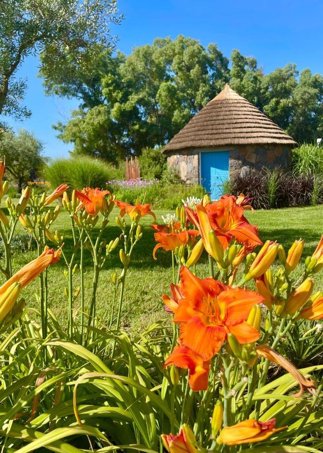 Is Cheas Wine Farm Boutique Hotel San Vero Milis المظهر الخارجي الصورة