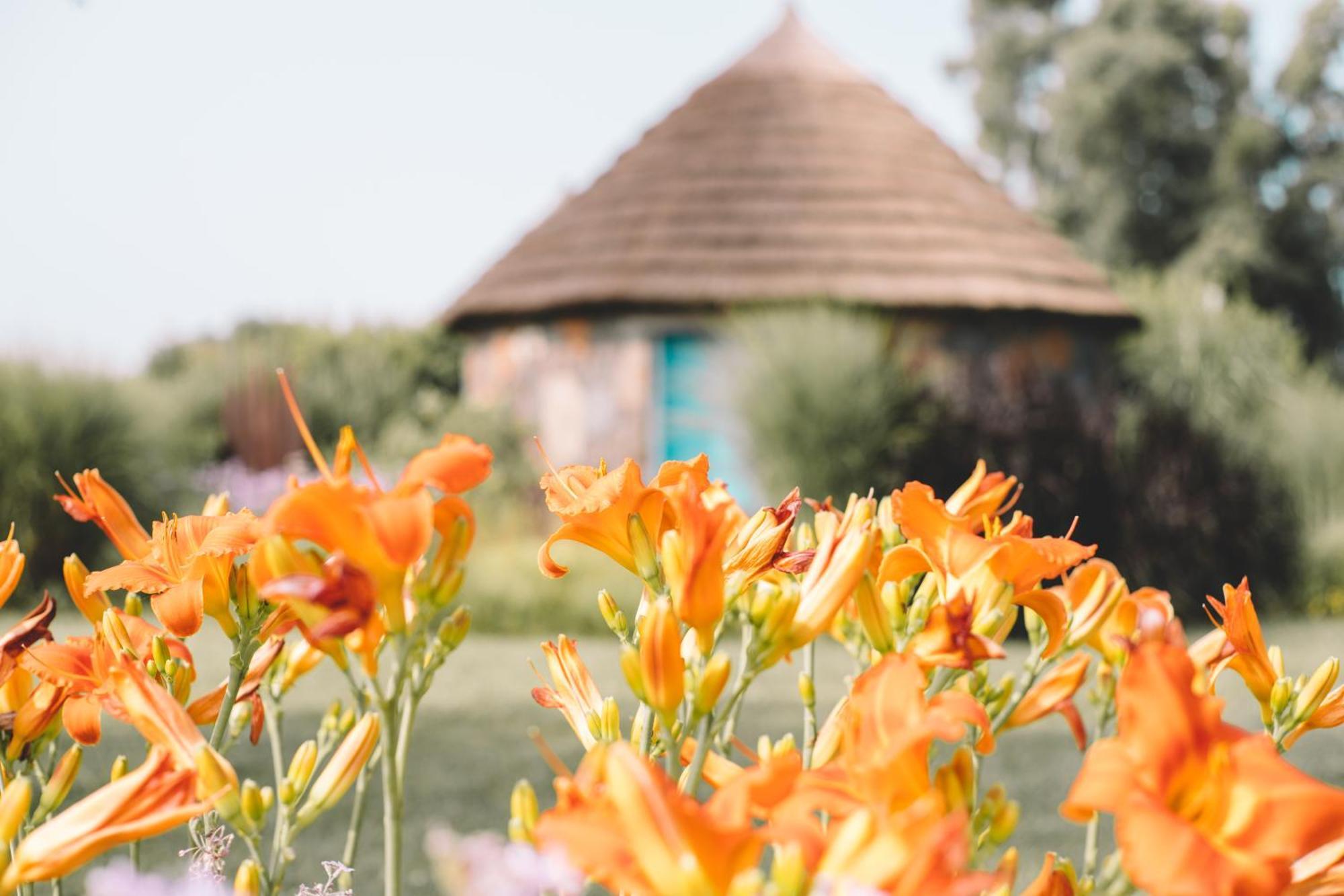 Is Cheas Wine Farm Boutique Hotel San Vero Milis الغرفة الصورة