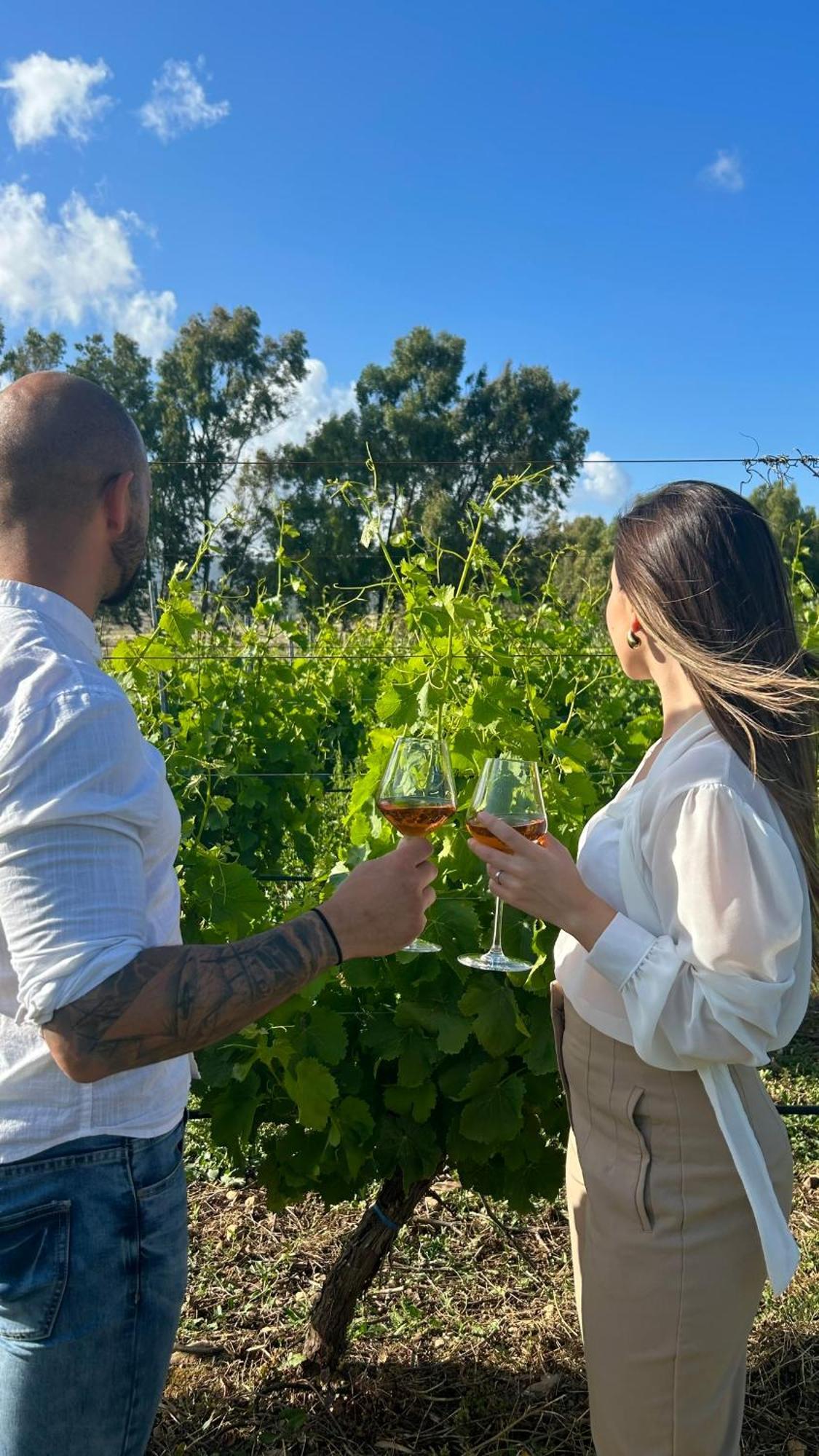 Is Cheas Wine Farm Boutique Hotel San Vero Milis المظهر الخارجي الصورة