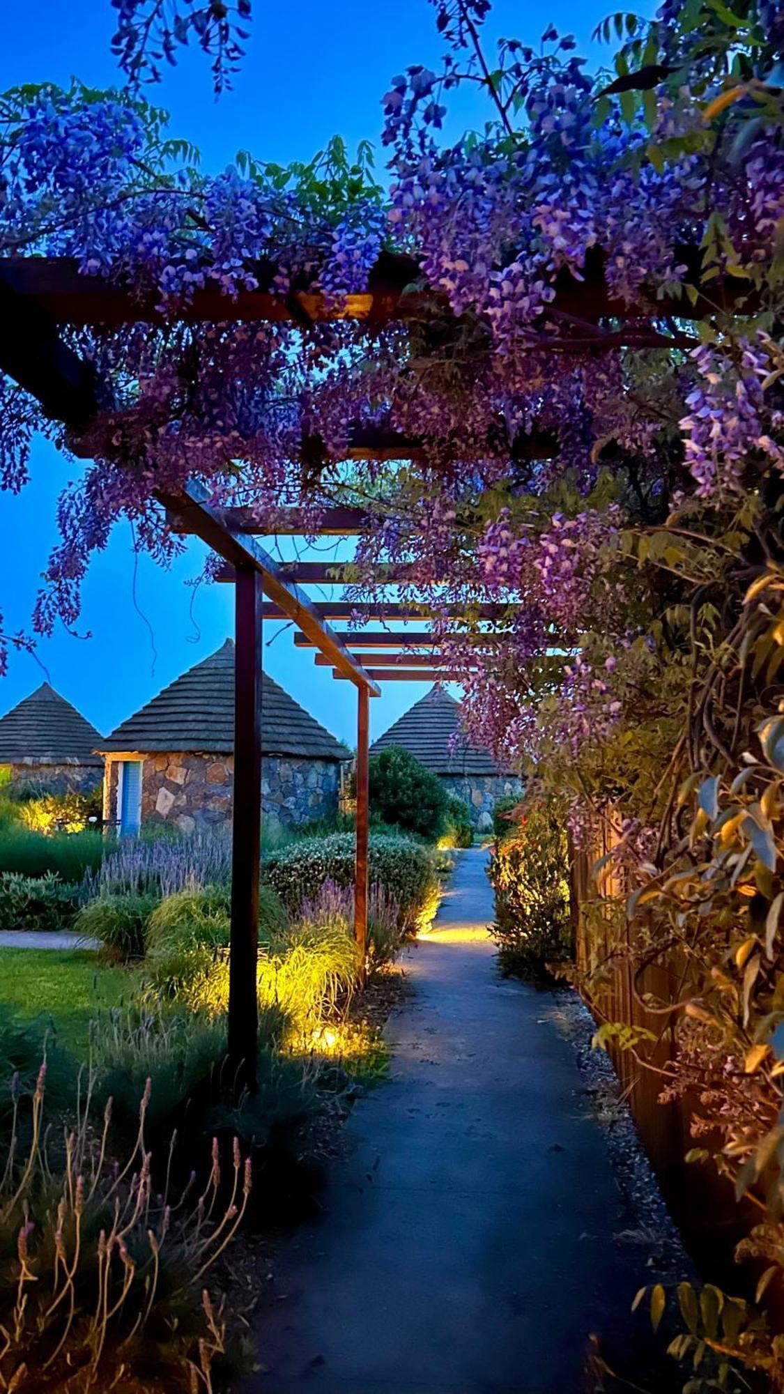 Is Cheas Wine Farm Boutique Hotel San Vero Milis المظهر الخارجي الصورة