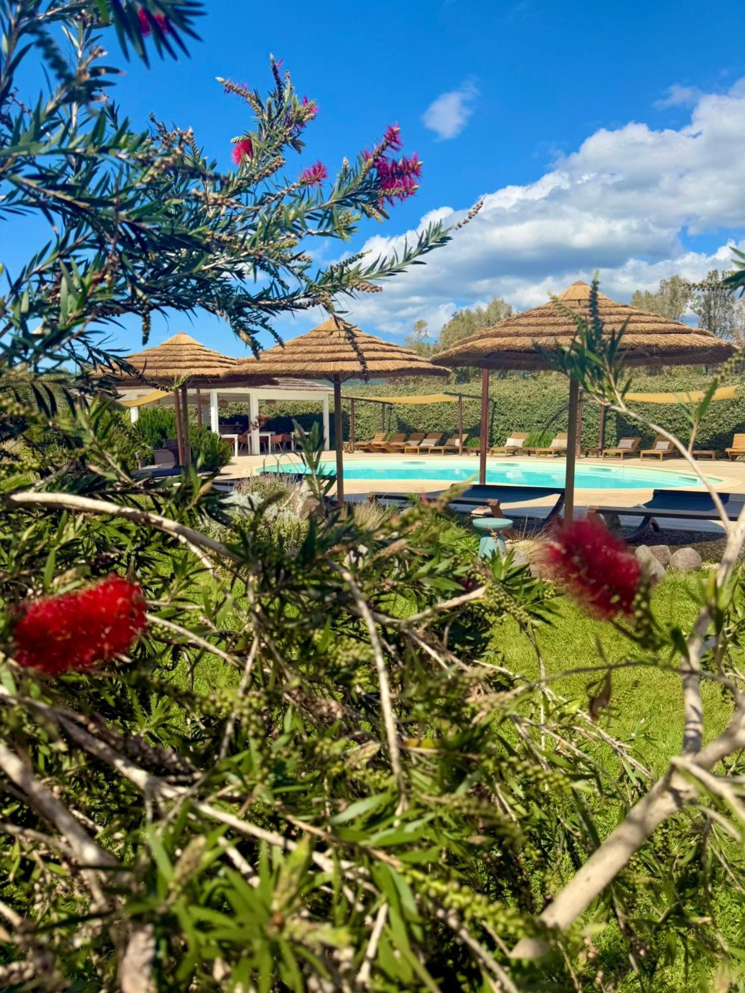 Is Cheas Wine Farm Boutique Hotel San Vero Milis المظهر الخارجي الصورة