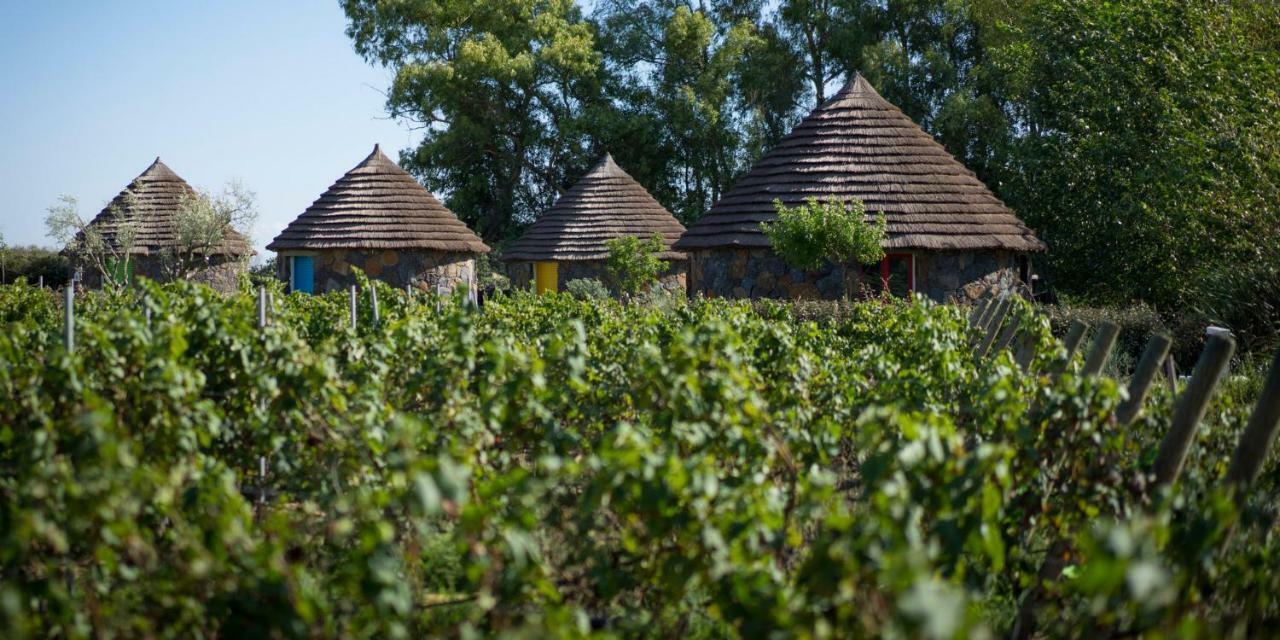 Is Cheas Wine Farm Boutique Hotel San Vero Milis المظهر الخارجي الصورة
